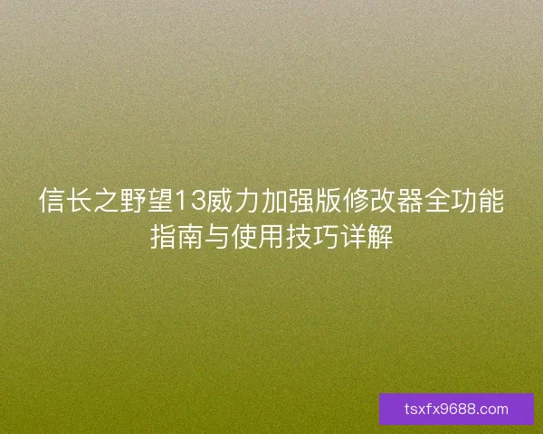 信长之野望13威力加强版修改器全功能指南与使用技巧详解