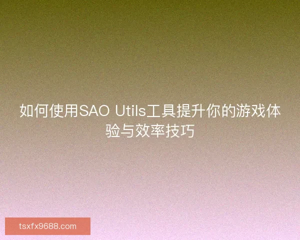 如何使用SAO Utils工具提升你的游戏体验与效率技巧