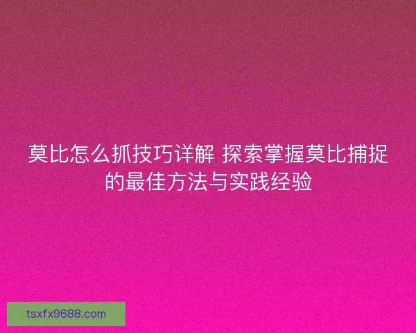 莫比怎么抓技巧详解 探索掌握莫比捕捉的最佳方法与实践经验