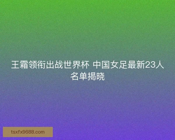 王霜领衔出战世界杯 中国女足最新23人名单揭晓