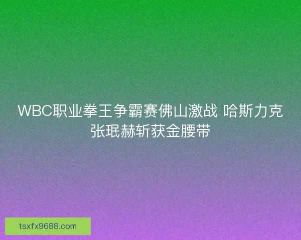 WBC职业拳王争霸赛佛山激战 哈斯力克张珉赫斩获金腰带