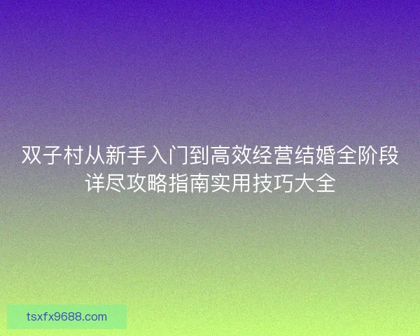 双子村从新手入门到高效经营结婚全阶段详尽攻略指南实用技巧大全