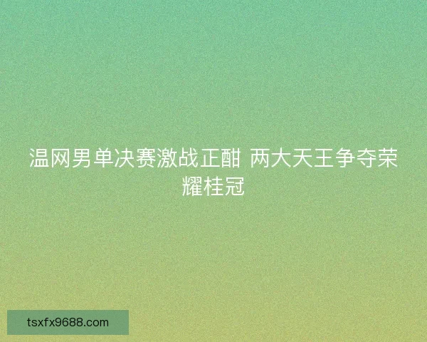 温网男单决赛激战正酣 两大天王争夺荣耀桂冠