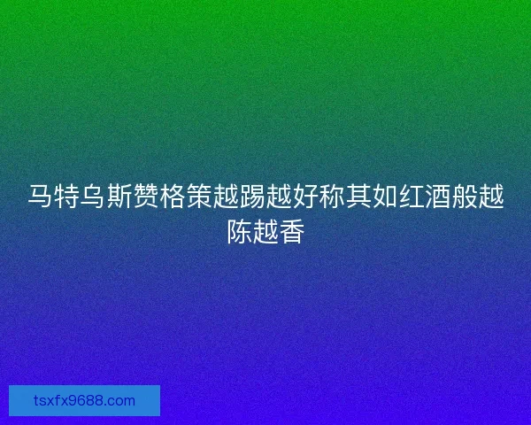 马特乌斯赞格策越踢越好称其如红酒般越陈越香