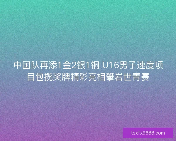 中国队再添1金2银1铜 U16男子速度项目包揽奖牌精彩亮相攀岩世青赛 中国队再添1金2银1铜 U16男子速度项目包揽奖牌精彩亮相攀岩世青赛