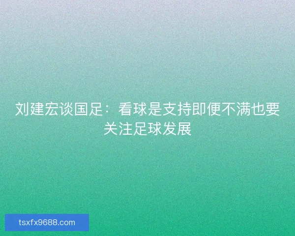 刘建宏谈国足:看球是支持即便不满也要关注足球发展 刘建宏谈国足:看球是支持即便不满也要关注足球发展